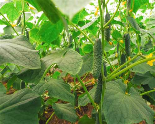 一场牵动全城的搜寻 孩子教育问题引深思