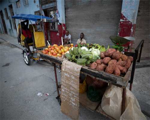 光音网络发布小云APP 手机应用进入全民定制时代