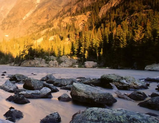 案款退赔！请尽快填报领款信息→